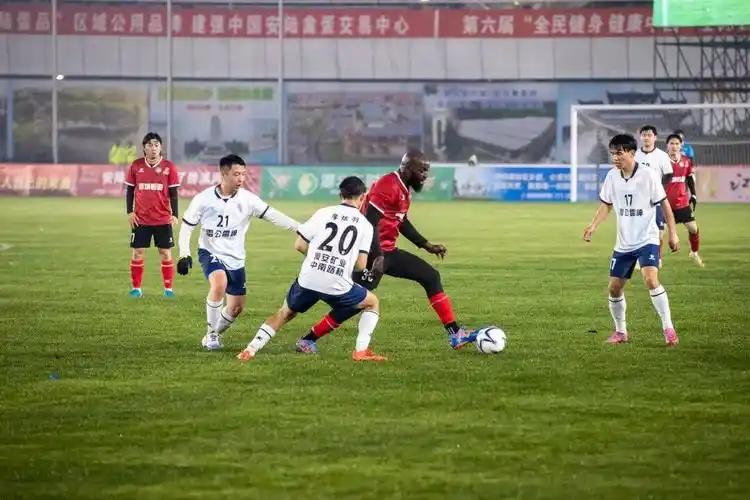 雨燕直播免费看